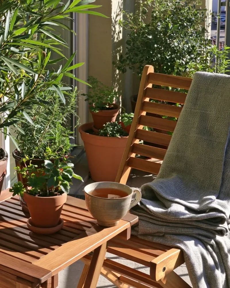 Potted plants, a wooden chair and tea on a sunny patio before