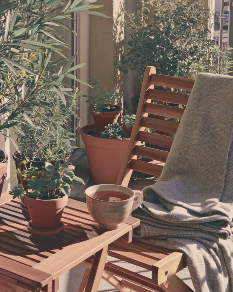 Potted plants, a wooden chair and tea on a sunny patio after